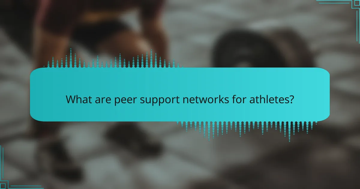 What are peer support networks for athletes?