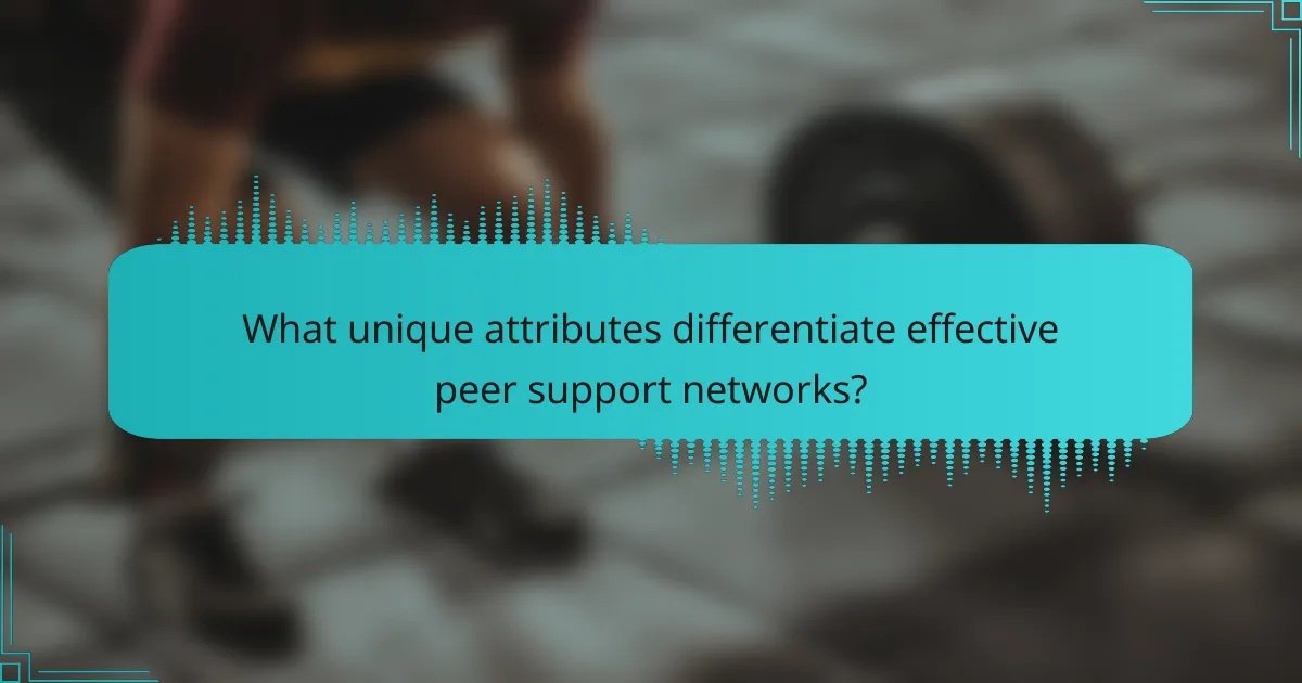 What unique attributes differentiate effective peer support networks?